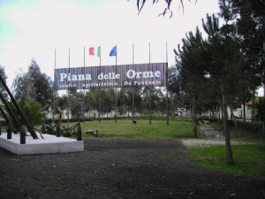 PianadelleOrme01[2]