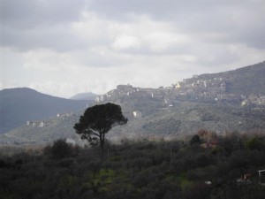 PianadelleOrme14[1]