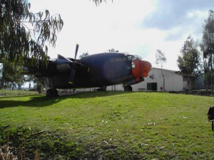PianadelleOrme19[1]