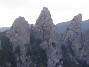 PA130124