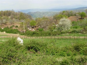 MontiLucretili025[1]