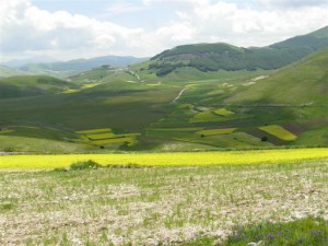 Castelluccio021[1]