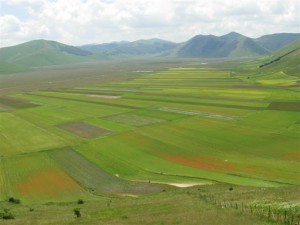 Castelluccio024[1]