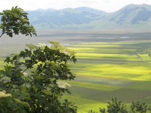 Castelluccio 090