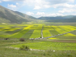Castelluccio 097