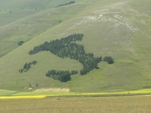 Foto0353