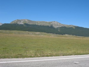 IMG 0108 (Copia)