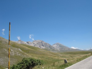 IMG 0203 (Copia)