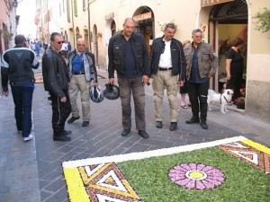 IMG 0460 (Copia)