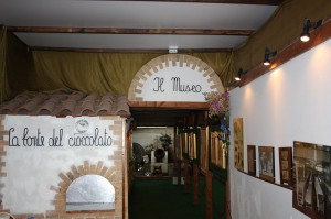 IMG 3924