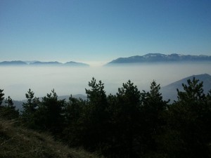 IMG 0049