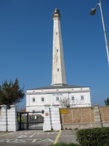 IMG 0124
