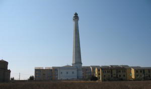 IMG 0128