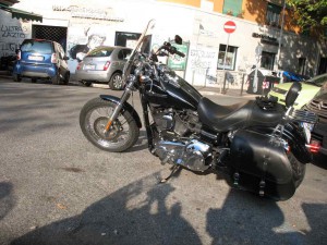 IMG 0030