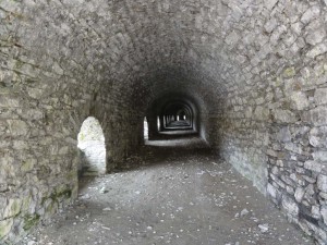 DSC02819