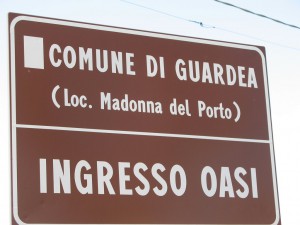 IMG 0101