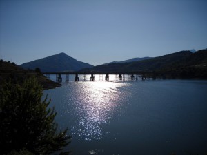 IMG 5754