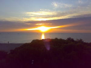 IMG 5755