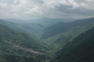 IMG 5803