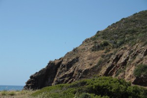 IMG 6252 (Copia)