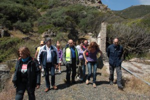 IMG 6295 (Copia)