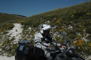 IMG 6387 (Copia)