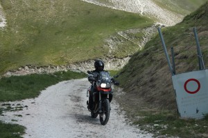 IMG 6462 (Copia)