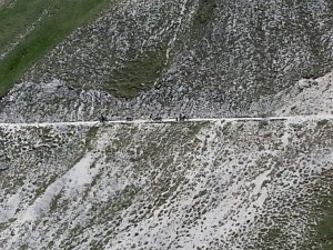 IMG 6463 (Copia)