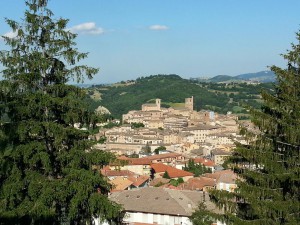 IMG 6581m (Copia)