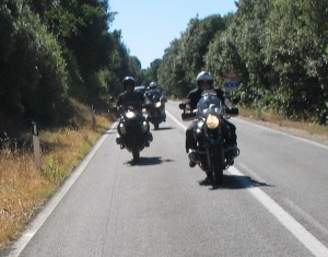 049 (Copia)