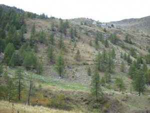 DSCN0050