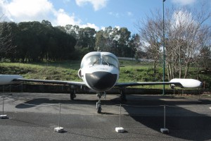 IMG 7829