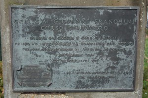 IMG 7836