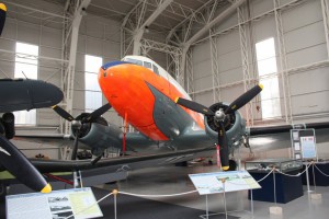 IMG 7982