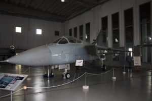 IMG 8018