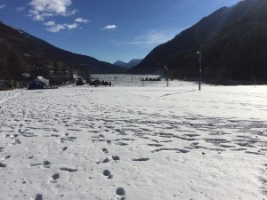 IMG 9662