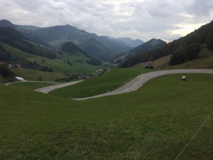 IMG 8630