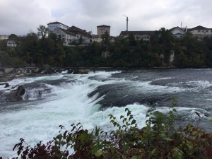 IMG 8684