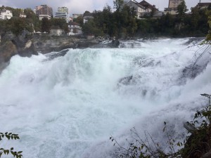 IMG 8693
