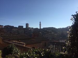 IMG 9486