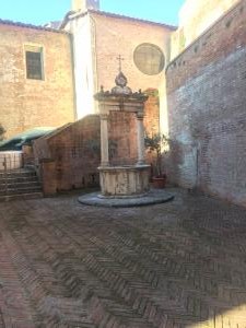 IMG 9489