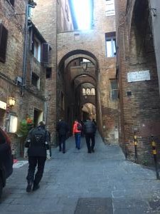 IMG 9492