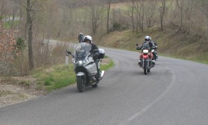 IMG 0239
