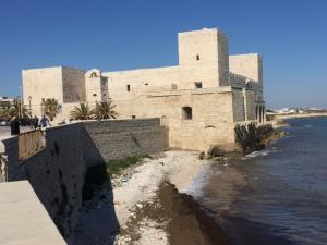 IMG 0505