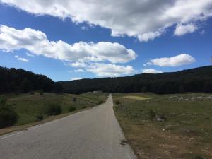 IMG 0817
