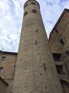 IMG 1919