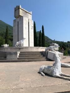 IMG 0803