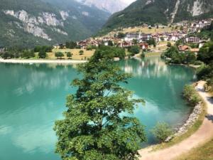 IMG 0885