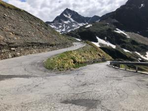 IMG 0923