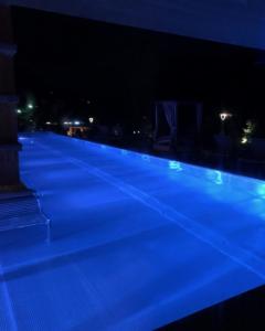 IMG 1376